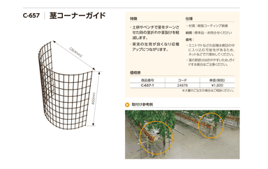 茎コーナーガイド