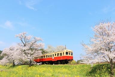 タキレポ記事